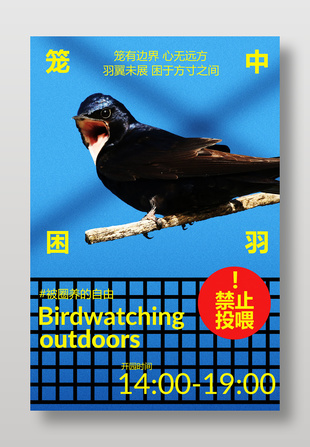 籠中困羽觀賞飛鳥活動(dòng)海報(bào)