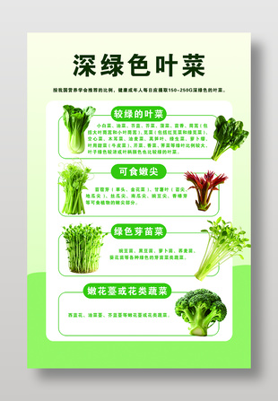 深绿色叶菜种类科普海报