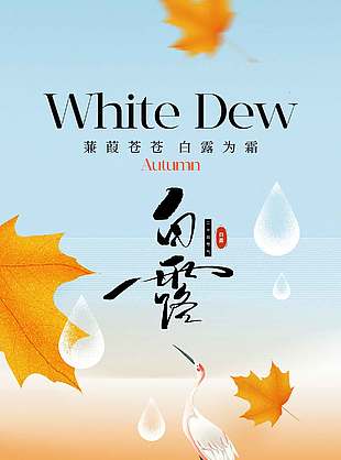 白露节气枫叶元素简约手机海报