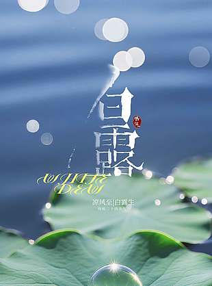 白露节气荷塘背景摄影风高清海报设计