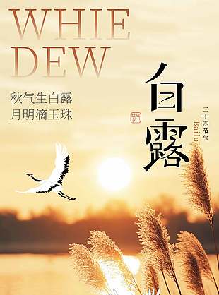 白露节气落日黄昏意境背景海报