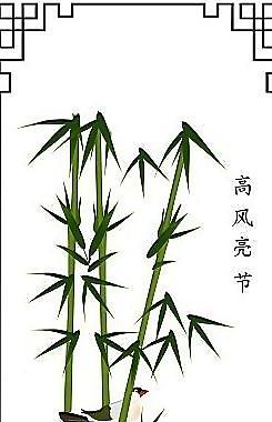 高风亮节 竹子图片