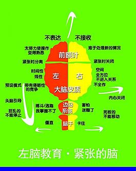 左脑教育宣传页图片