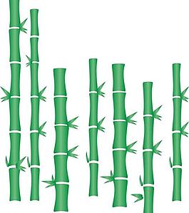 竹子图片