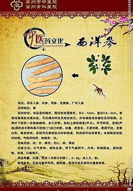 西洋参中医药文化图片