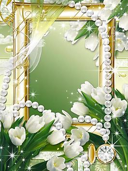 美丽花卉相框背景图片