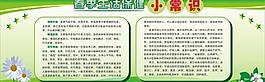 春季 宣传栏图片
