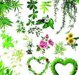 花纹 树叶图片