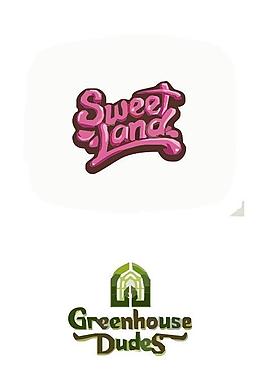 精美logo图片