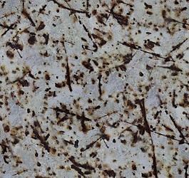 纹理 花纹 梅花图片