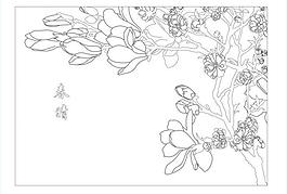 春晴玉兰图片
