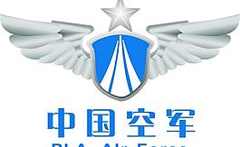 中国空军鹰标志图片