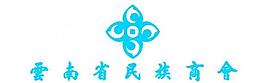 云南民族商会logo图片