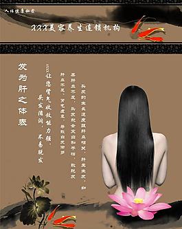 养生图片