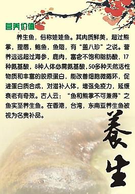 养生鱼图片