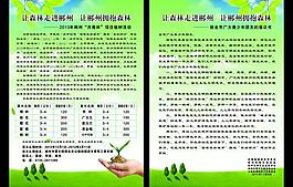 植树 树木 春天图片