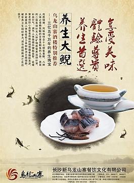 养生大鲵图片