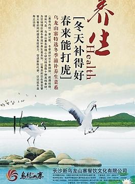 养生大鲵图片