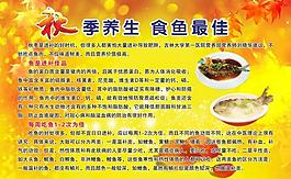 秋季养生知识宣传广告图片