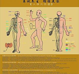 人体经络图图片