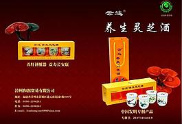灵芝酒宣传册图片