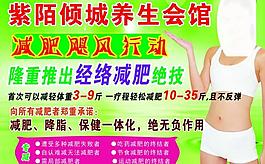 紫陌倾城正图片