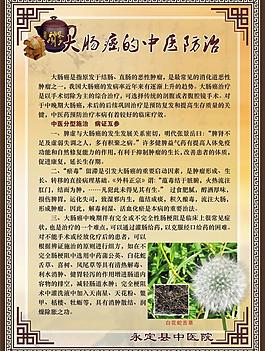 大肠癌的中医防治图片