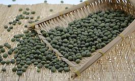 青豆图片