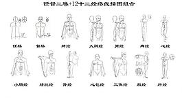 十四经络线描图图片