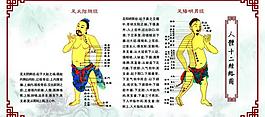 人体十二经络图片