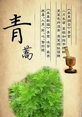 青蒿宣传彩页图片