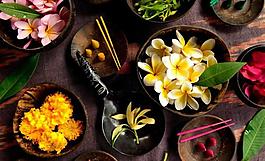 鲜花花瓣图片