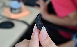 黑蒜图片