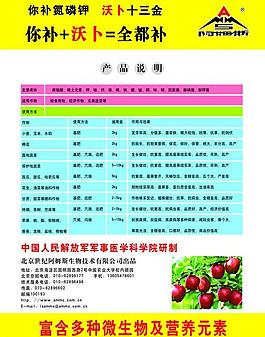 彩页图片