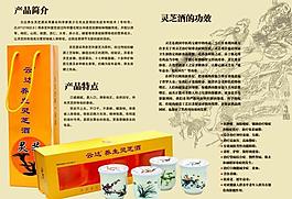灵芝酒宣传册图片