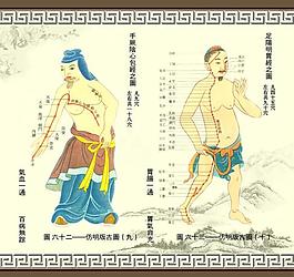 人体经络图图片