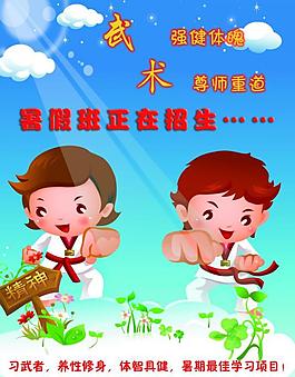 武术彩页图片