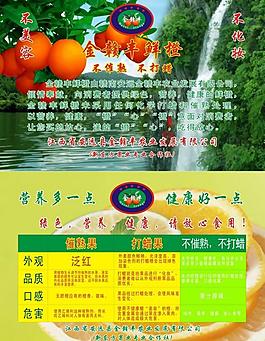 脐橙宣传彩页图片