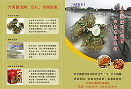 大闸蟹彩页图片