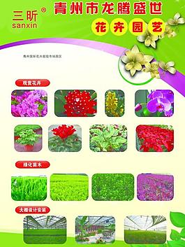 花卉彩页图片