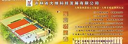 形象彩页图片