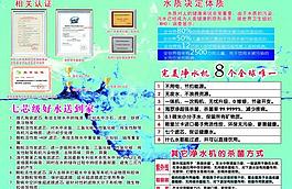 金伟连彩页图片