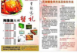 大闸蟹彩页图片