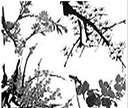 笔刷国画梅花