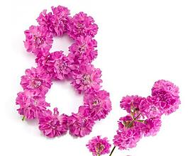 38妇女节主题图形图片
