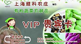 vip会员制度图片