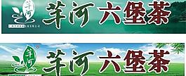 芊河六堡茶图片