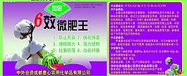 棉花标签图片