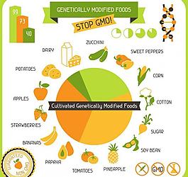 餐饮标签矢量素材图片