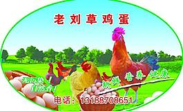 草鸡蛋标签图片